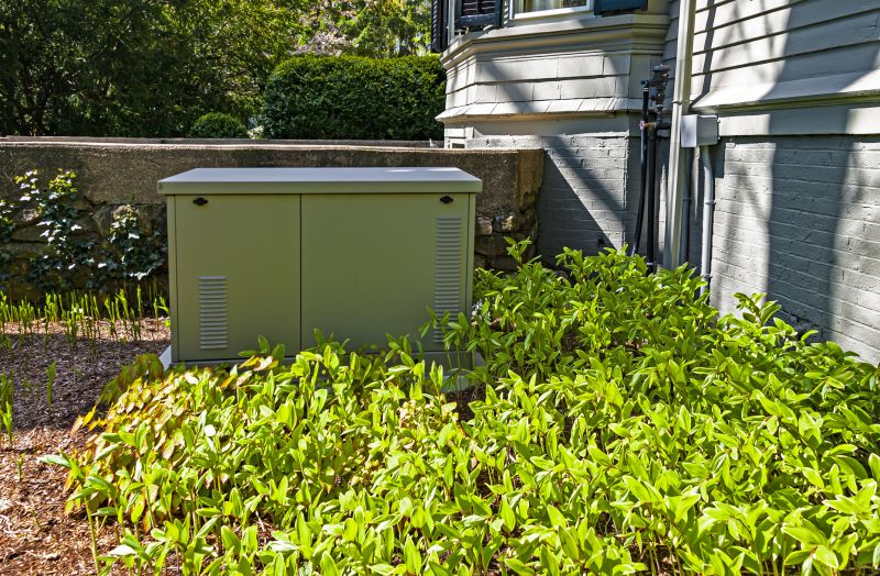 Residential Generator in a Driveway